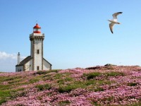 Retraite à Belle-Ile-en-Mer